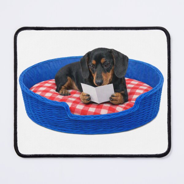 Item preview, Dally Dachshund Reading Rémi's Special Note designed and sold by GwynfydThinking.