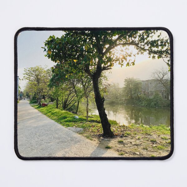Item preview, Golden Sunlight Through Green Tree Canopy designed and sold by felachrata.