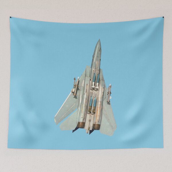 Item preview, F-14 Tomcat Vertical Climb Weapons Loadout Vector Art designed and sold by AfterburnerLab.