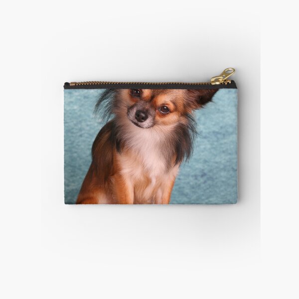 Item preview, Long Haired Sable Chihuahua Tilting Head designed and sold by VanGaldo.