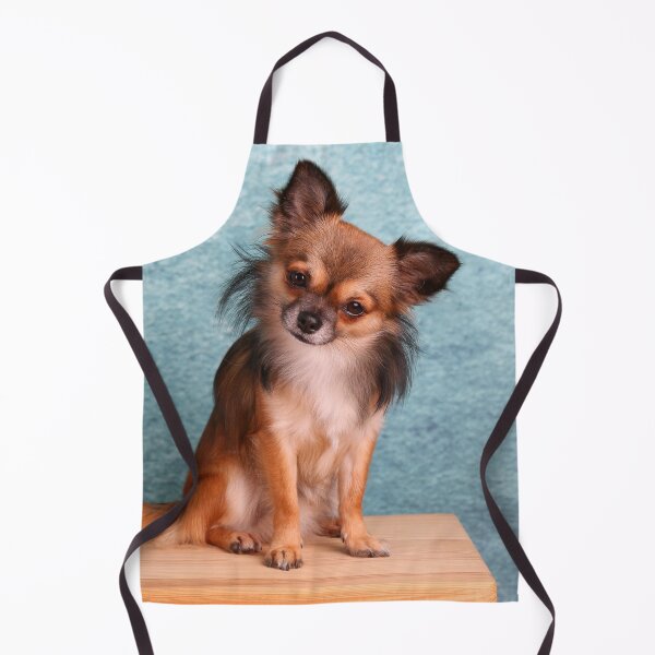Item preview, Long Haired Sable Chihuahua Tilting Head designed and sold by VanGaldo.