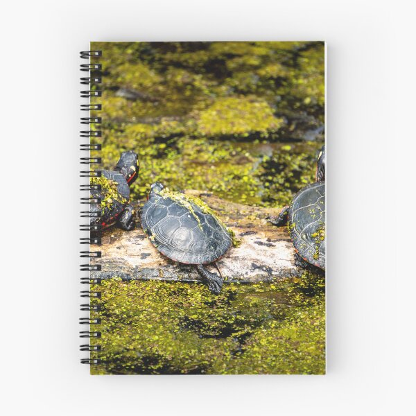 Item preview, Turtles on a Log designed and sold by TinyDinoDesigns.