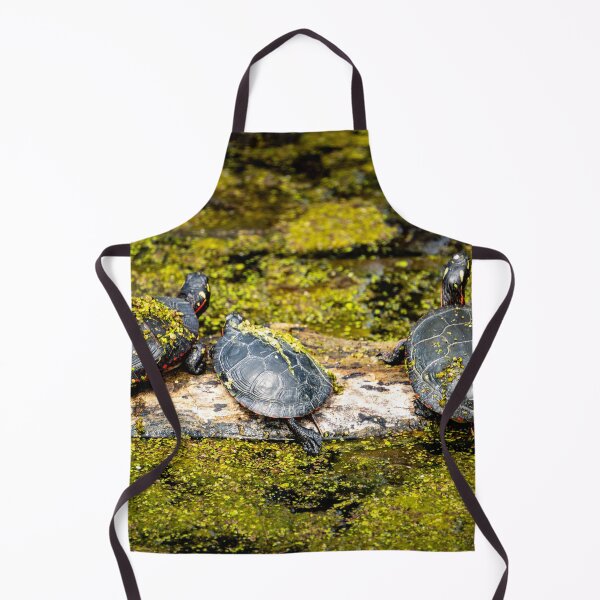 Item preview, Turtles on a Log designed and sold by TinyDinoDesigns.