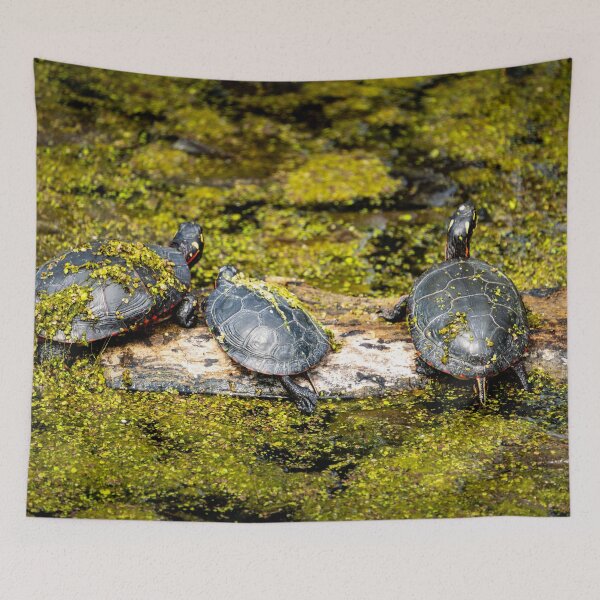 Item preview, Turtles on a Log designed and sold by TinyDinoDesigns.