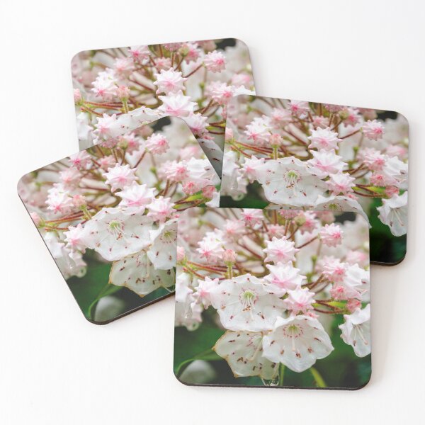 Item preview, Mountain Laurel designed and sold by TinyDinoDesigns.