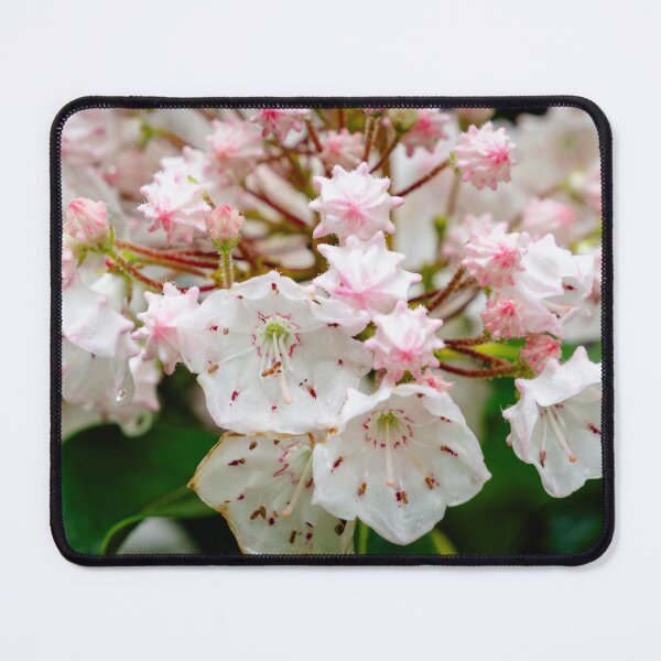 Item preview, Mountain Laurel designed and sold by TinyDinoDesigns.