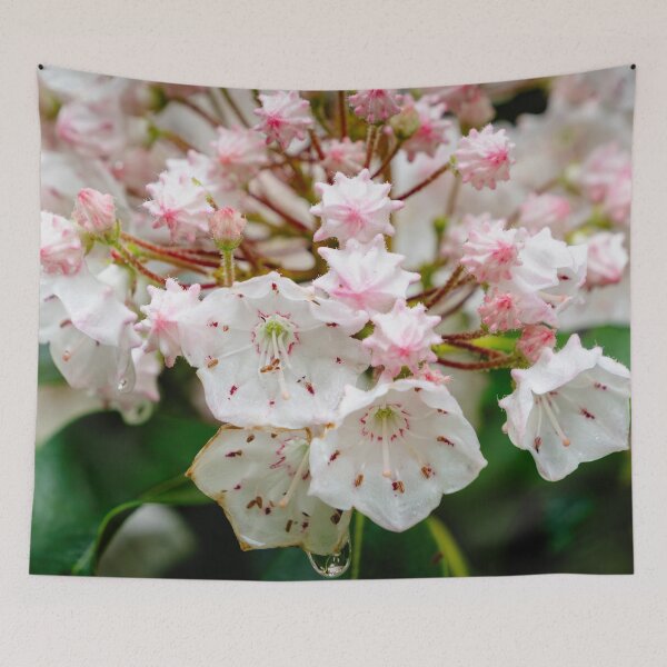 Item preview, Mountain Laurel designed and sold by TinyDinoDesigns.