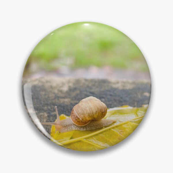 Item preview, Little Garden Snail Crawling On Bright Yellow Autumn Leaf - Macro Nature Photography designed and sold by ambepeep.