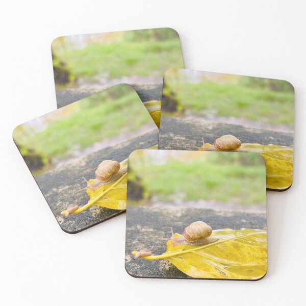 Item preview, Little Garden Snail Crawling On Bright Yellow Autumn Leaf - Macro Nature Photography designed and sold by ambepeep.