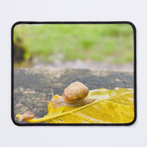 Item preview, Little Garden Snail Crawling On Bright Yellow Autumn Leaf - Macro Nature Photography designed and sold by ambepeep.