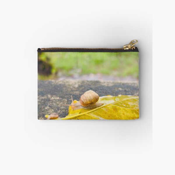 Item preview, Little Garden Snail Crawling On Bright Yellow Autumn Leaf - Macro Nature Photography designed and sold by ambepeep.