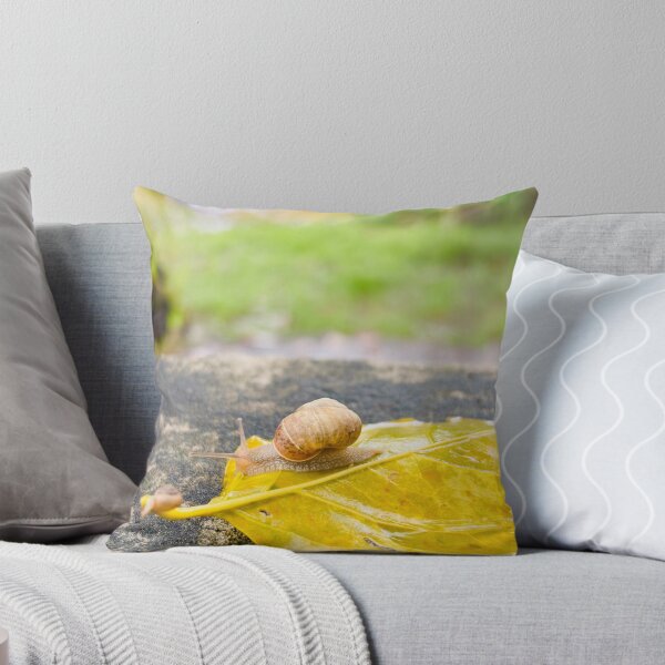 Item preview, Little Garden Snail Crawling On Bright Yellow Autumn Leaf - Macro Nature Photography designed and sold by ambepeep.