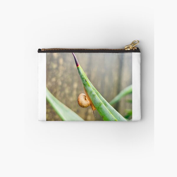Item preview, Tiny Snail Clinging To Sharp Agave Leaf Tip - Minimalist Nature Macro Photography designed and sold by ambepeep.