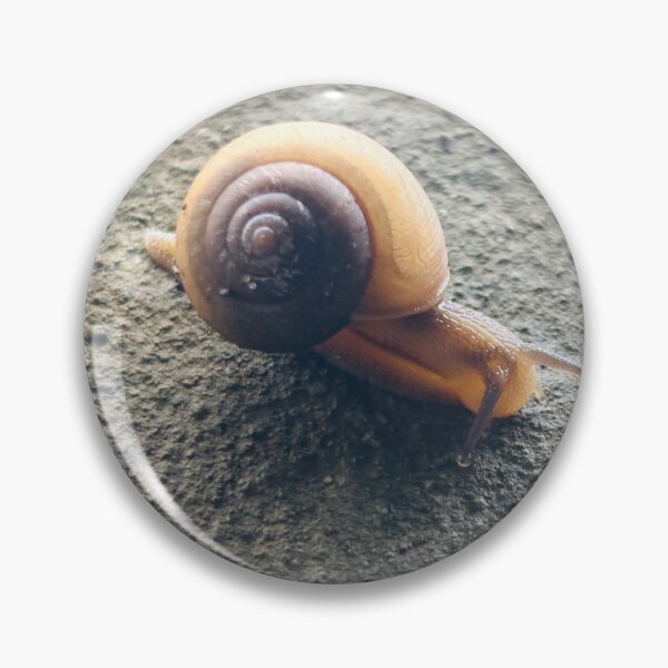 Item preview, Detailed Garden Snail Gliding Across Textured Concrete - High Angle Macro Wildlife designed and sold by ambepeep.
