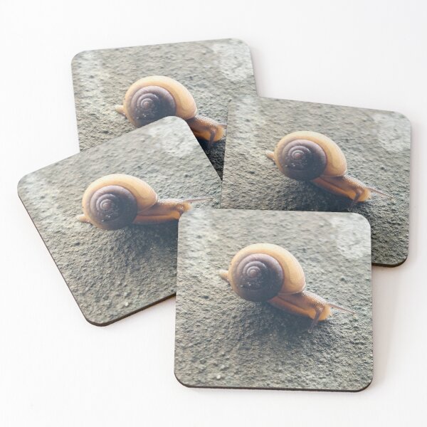 Item preview, Detailed Garden Snail Gliding Across Textured Concrete - High Angle Macro Wildlife designed and sold by ambepeep.