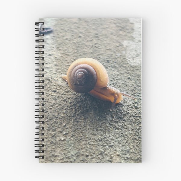 Item preview, Detailed Garden Snail Gliding Across Textured Concrete - High Angle Macro Wildlife designed and sold by ambepeep.