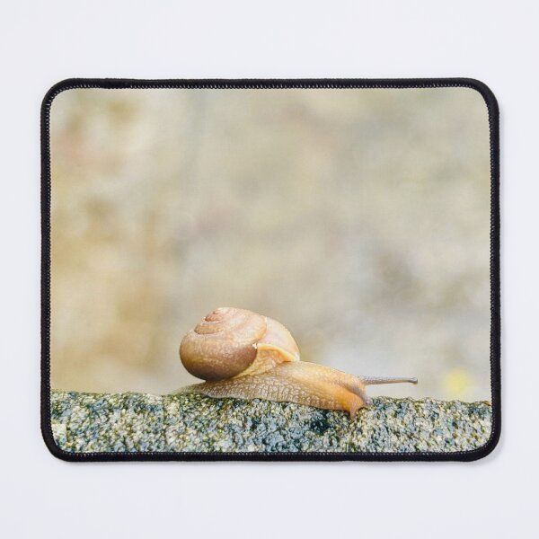 Item preview, Curious Little Snail Reaching Along Weathered Stone Ledge - Soft Bokeh Nature Art designed and sold by ambepeep.