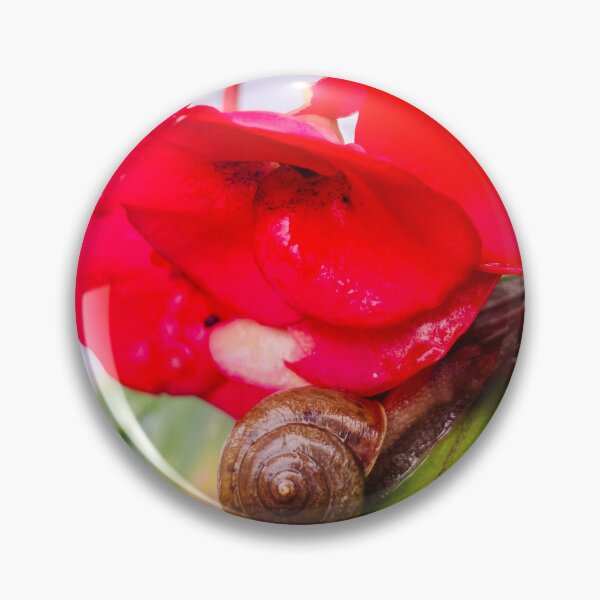 Item preview, Snail Resting Under Vibrant Red Crown Of Thorns Flowers - Macro Garden Botanical designed and sold by ambepeep.