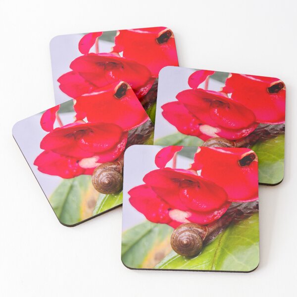 Item preview, Snail Resting Under Vibrant Red Crown Of Thorns Flowers - Macro Garden Botanical designed and sold by ambepeep.