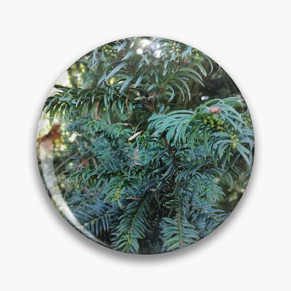 Item preview, Yew with small green berries designed and sold by PhuongVoArt.