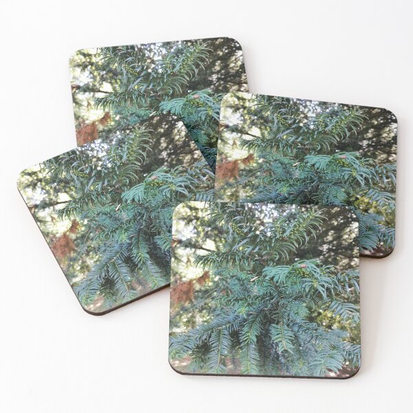 Item preview, Yew with small green berries designed and sold by PhuongVoArt.