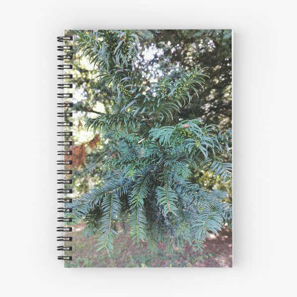 Item preview, Yew with small green berries designed and sold by PhuongVoArt.