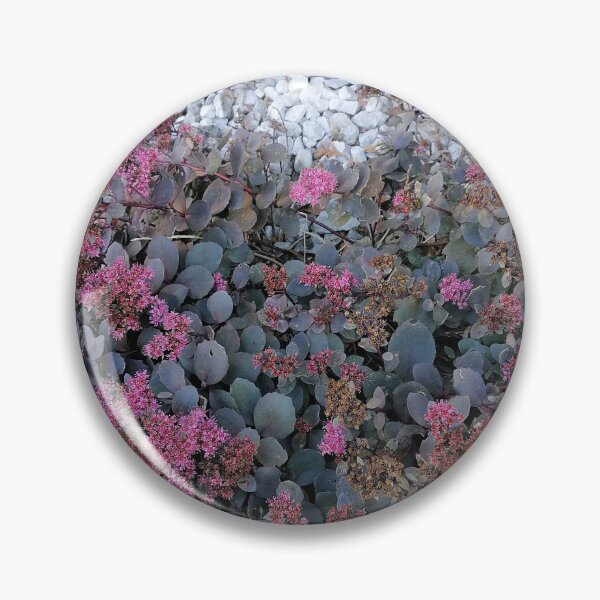Item preview, Pink sedum among white stones designed and sold by PhuongVoArt.