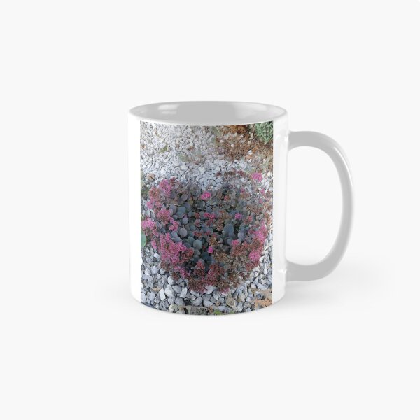 Item preview, Pink sedum among white stones designed and sold by PhuongVoArt.
