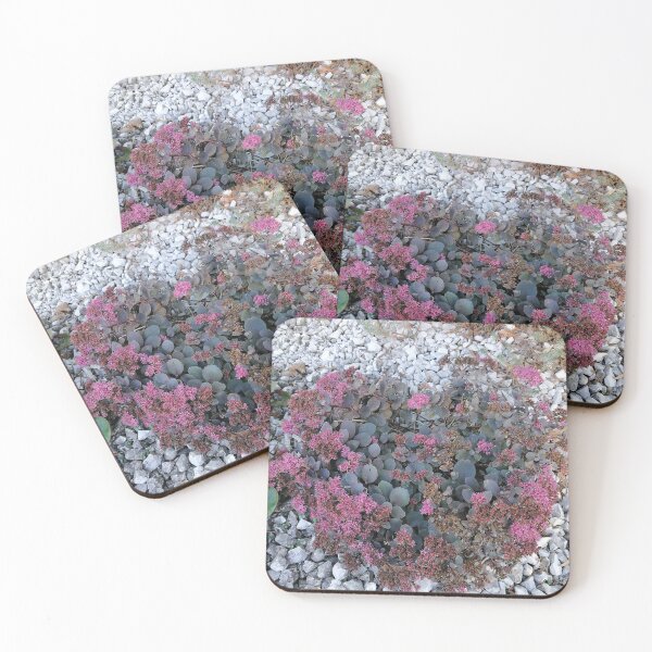 Item preview, Pink sedum among white stones designed and sold by PhuongVoArt.