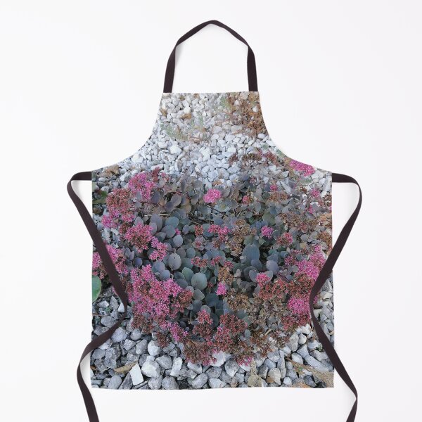 Item preview, Pink sedum among white stones designed and sold by PhuongVoArt.