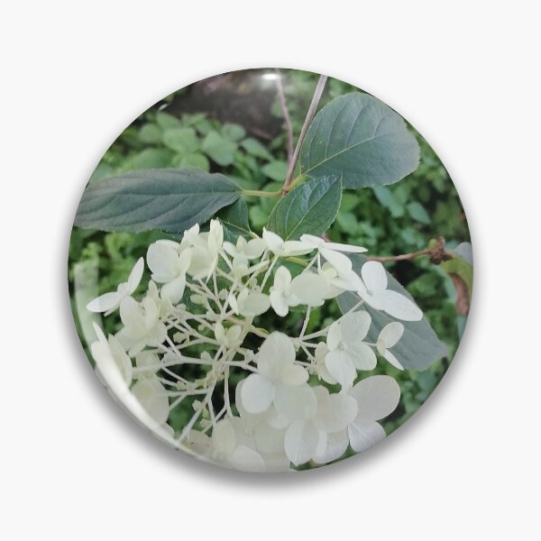 Item preview, White hydrangea blossoms in the green garden designed and sold by PhuongVoArt.