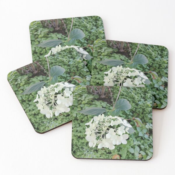 Item preview, White hydrangea blossoms in the green garden designed and sold by PhuongVoArt.