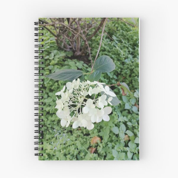 Item preview, White hydrangea blossoms in the green garden designed and sold by PhuongVoArt.