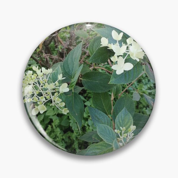Item preview, White blossoms on a green bush designed and sold by PhuongVoArt.