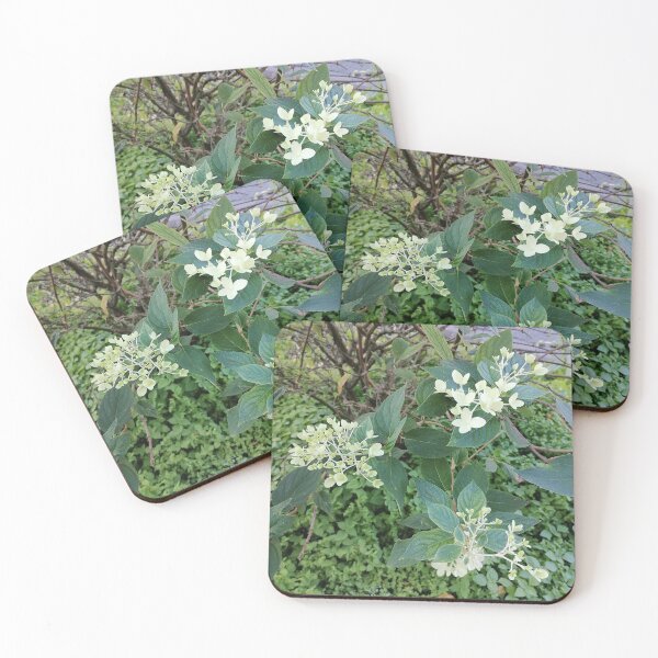 Item preview, White blossoms on a green bush designed and sold by PhuongVoArt.