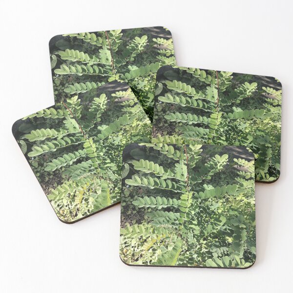 Item preview, Green robinia leaves in sunlight designed and sold by PhuongVoArt.