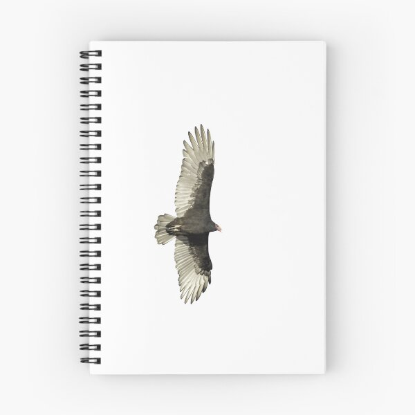 Item preview, Isolated Turkey Vulture 9-23-2026 designed and sold by Thomasyoung.