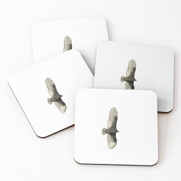 Item preview, Isolated Turkey Vulture 9-23-2026 designed and sold by Thomasyoung.