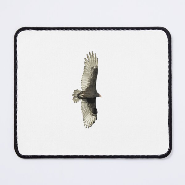 Item preview, Isolated Turkey Vulture 9-23-2026 designed and sold by Thomasyoung.