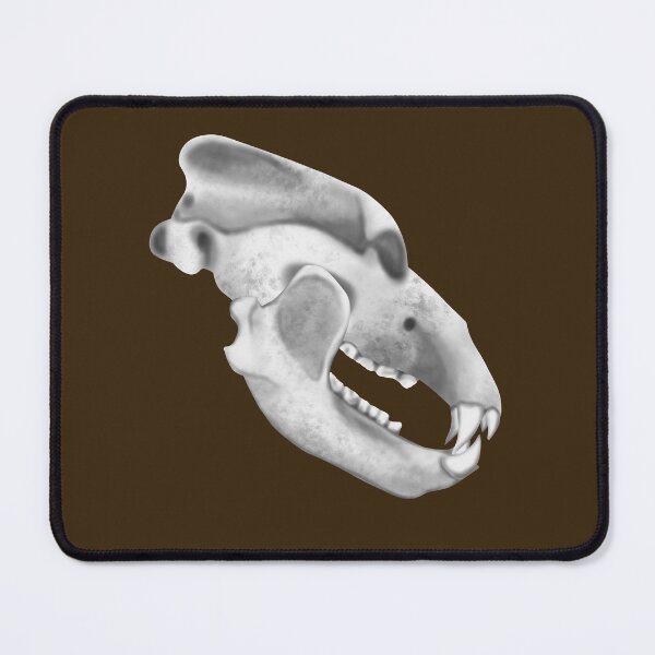 Item preview, Cave Bear Skull designed and sold by JAMiron Paleoart.