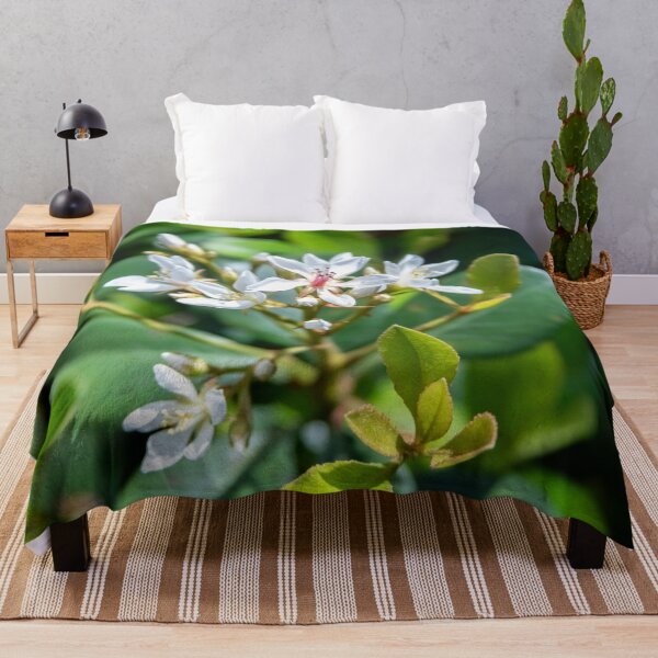 Item preview, Indian HawthornWhite Flowers  designed and sold by RichFrancoCars.