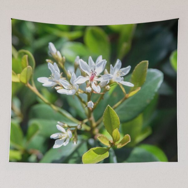 Item preview, Indian HawthornWhite Flowers  designed and sold by RichFrancoCars.