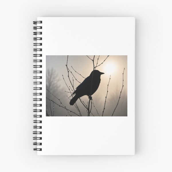 Item preview, Raven Silhouette at Sunset designed and sold by Astute-Artio-Photography.