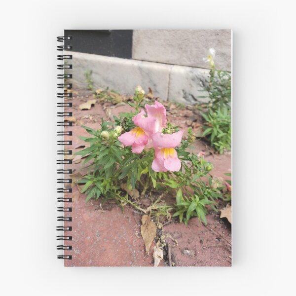 Item preview, Pink Snapdragons in Brickwork designed and sold by concretebotany.