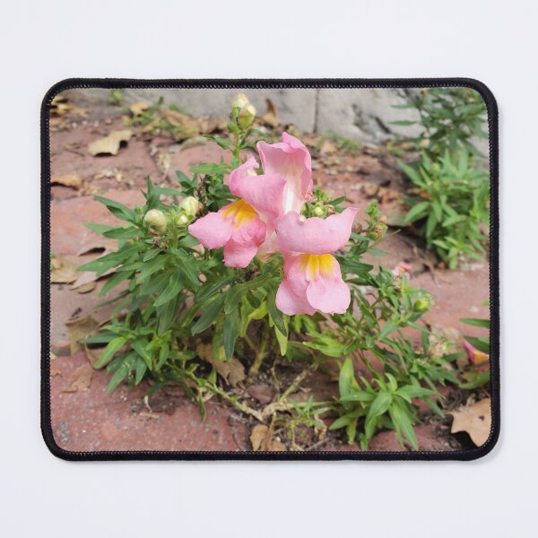 Item preview, Pink Snapdragons in Brickwork designed and sold by concretebotany.