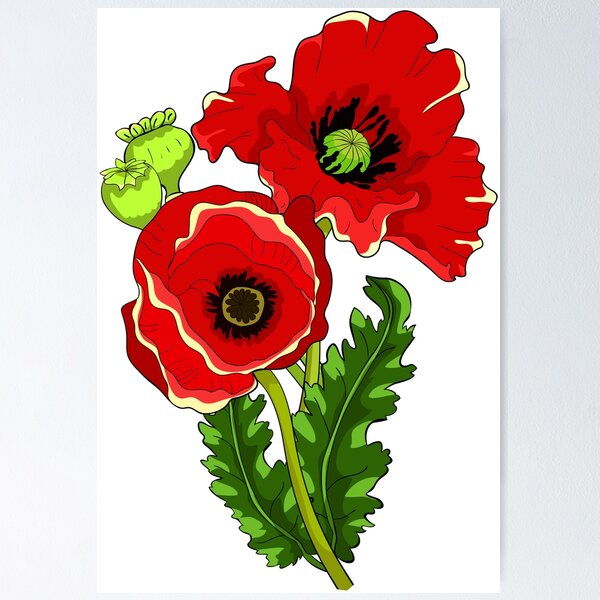 Item preview, Blooming Red Poppy Flower and Sprout Botanical Illustration designed and sold by OrPolly.