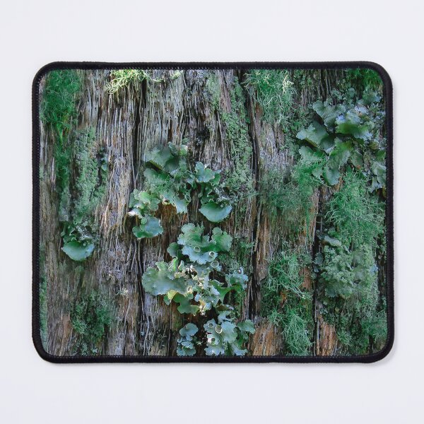 Item preview, Life On a Tree Trunk  designed and sold by heatherfriedman.