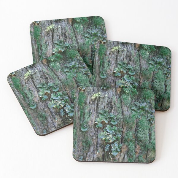 Item preview, Life On a Tree Trunk  designed and sold by heatherfriedman.