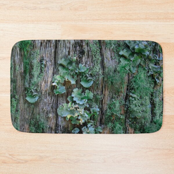 Item preview, Life On a Tree Trunk  designed and sold by heatherfriedman.