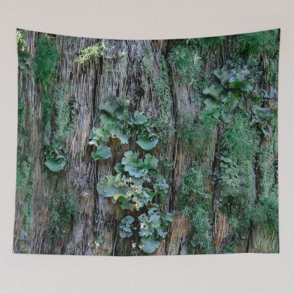 Item preview, Life On a Tree Trunk  designed and sold by heatherfriedman.